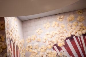 Interiorsurface Price Chopper Stanley 16